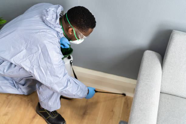 Best Real Estate Pest Inspections  in Yuma, CO